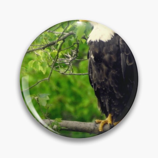Item preview, american bald eagle designed and sold by Tgarlick.