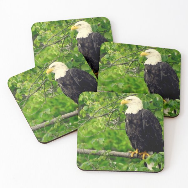 Item preview, american bald eagle designed and sold by Tgarlick.