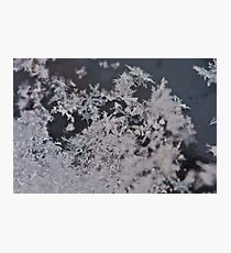 Flakes... Photographic Print
