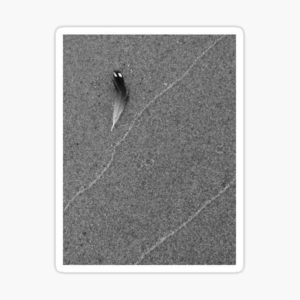 Item preview, Feather and sand patterns designed and sold by J Rier Photography.