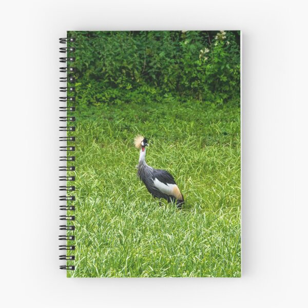 Item preview, Grey crowned crane (Balearica regulorum) designed and sold by Radibor78.