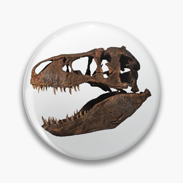 Item preview, Tyrannosaurus Rex Skull Fossil designed and sold by dwebble.