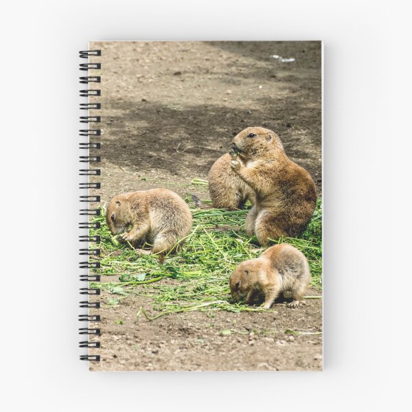 Item preview, Black-tailed prairie dog (Cynomys ludovicianus) designed and sold by Radibor78.