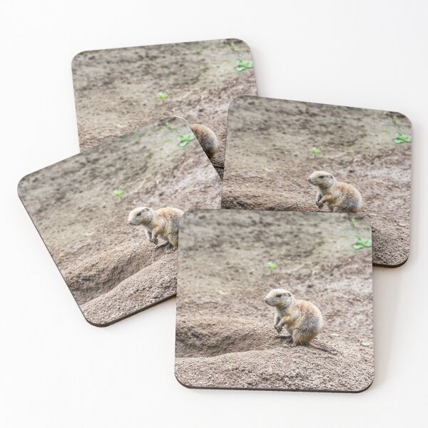 Item preview, Black-tailed prairie dog (Cynomys ludovicianus) designed and sold by Radibor78.