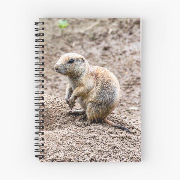 Item preview, Black-tailed prairie dog (Cynomys ludovicianus) designed and sold by Radibor78.