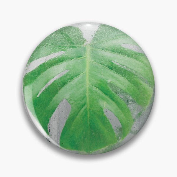 Item preview, Swiss Cheese Plant Behind Wet Glass designed and sold by HarryHas.