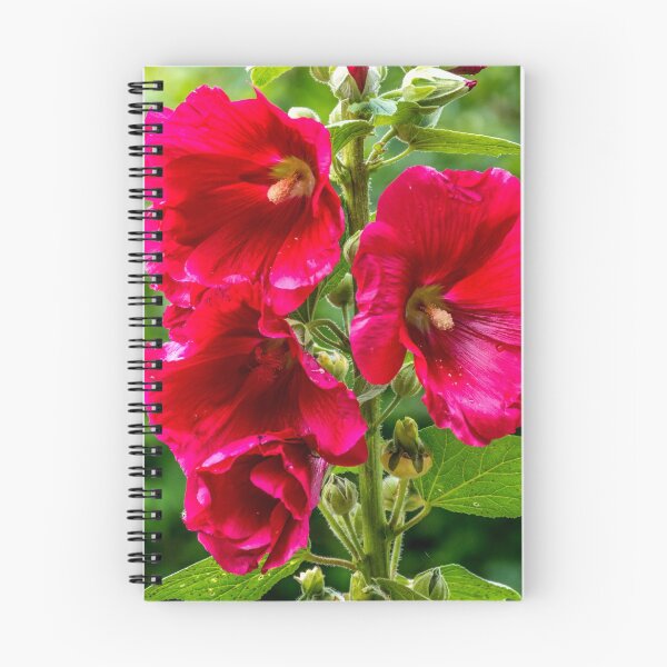 Item preview, Flower with large red blossoms designed and sold by Radibor78.
