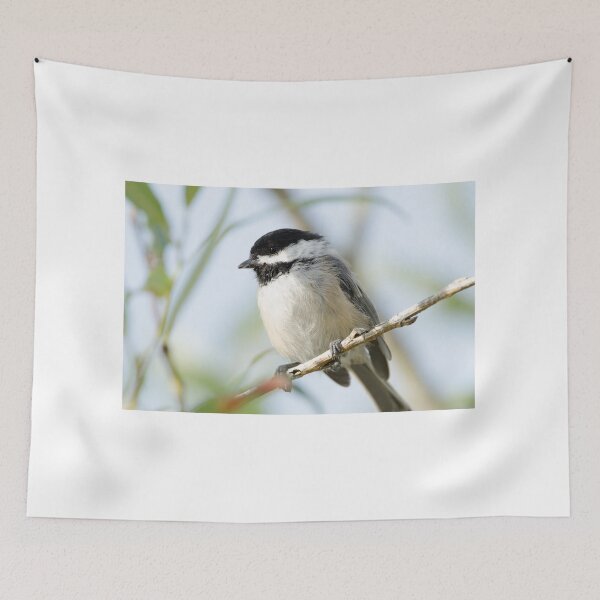 Item preview, Black Capped Chickadee designed and sold by rodmacpherson.
