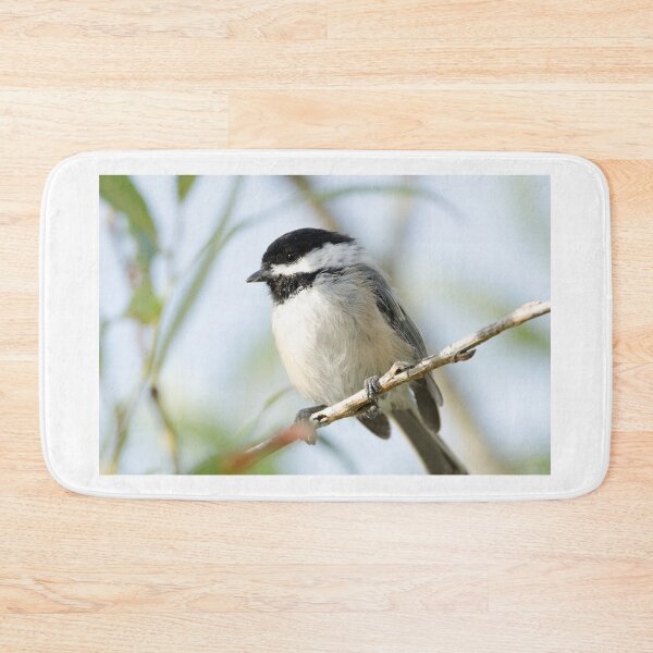 Item preview, Black Capped Chickadee designed and sold by rodmacpherson.