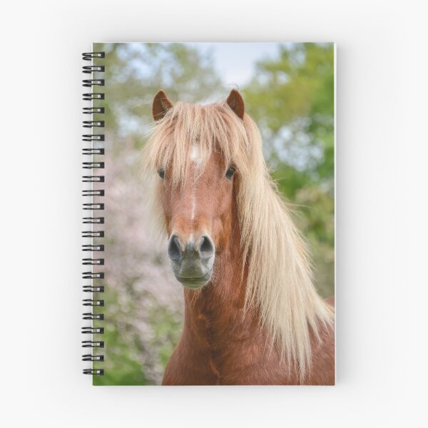 Item preview, Horse Portrait Aegidienberger crossbreed Paso and Icelandic designed and sold by Katho Menden.