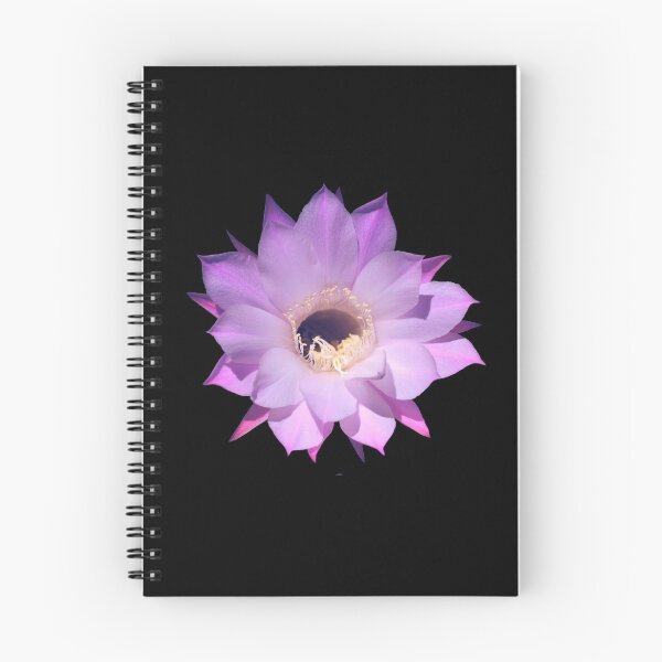 Item preview, Beautiful cactus flower designed and sold by EverLife.