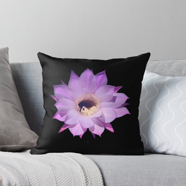 Item preview, Beautiful cactus flower designed and sold by EverLife.