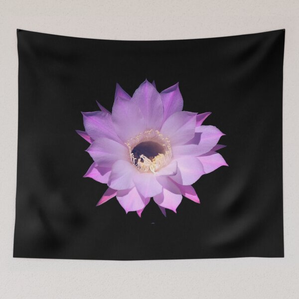 Item preview, Beautiful cactus flower designed and sold by EverLife.