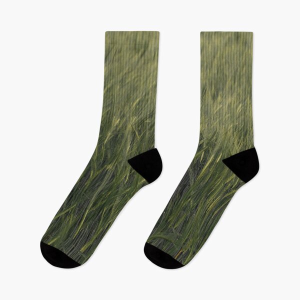 Item preview, Campo de cebada en el viento designed and sold by HarryHas.