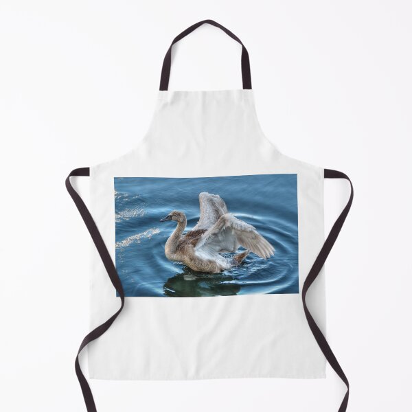 Item preview, Cygnet  designed and sold by Steve H Clark.