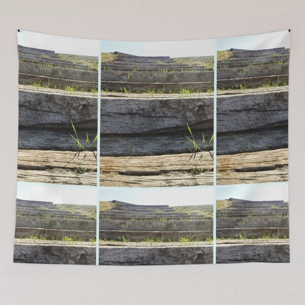 Item preview, Rustic Stairs, Structural Nature Photography by Courtney Hatcher designed and sold by cghatcherart.