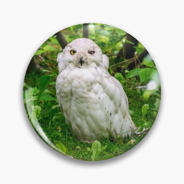 Item preview, Snowy owl (Nyctea Scandiaca) designed and sold by Radibor78.