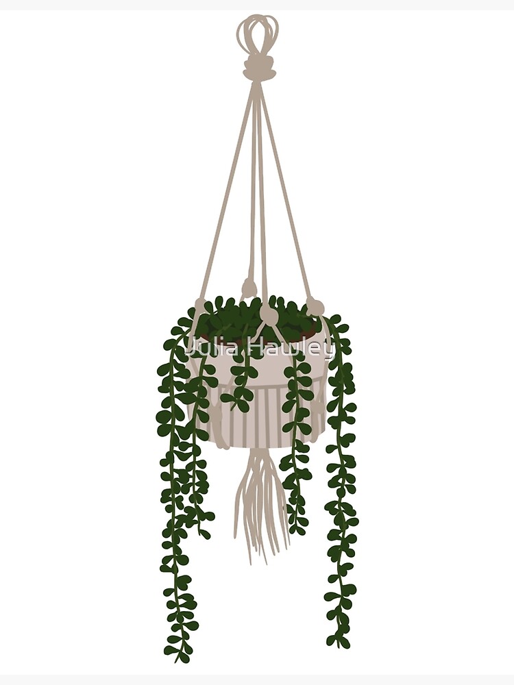 "Droopy Hanging Plant" Poster by JediMaster5 Redbubble