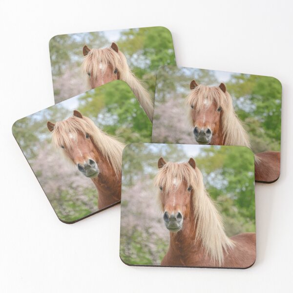 Item preview, Horse Portrait Aegidienberger crossbreed Paso and Icelandic designed and sold by Katho Menden.