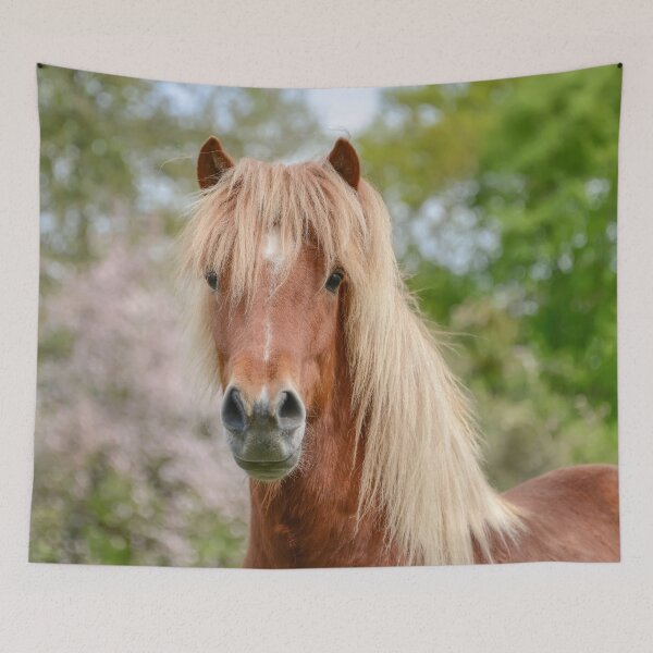 Item preview, Horse Portrait Aegidienberger crossbreed Paso and Icelandic designed and sold by Katho Menden.