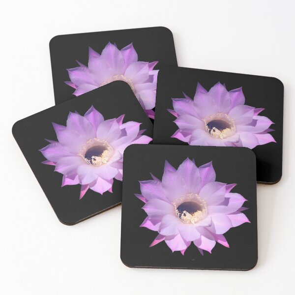 Item preview, Beautiful cactus flower designed and sold by EverLife.