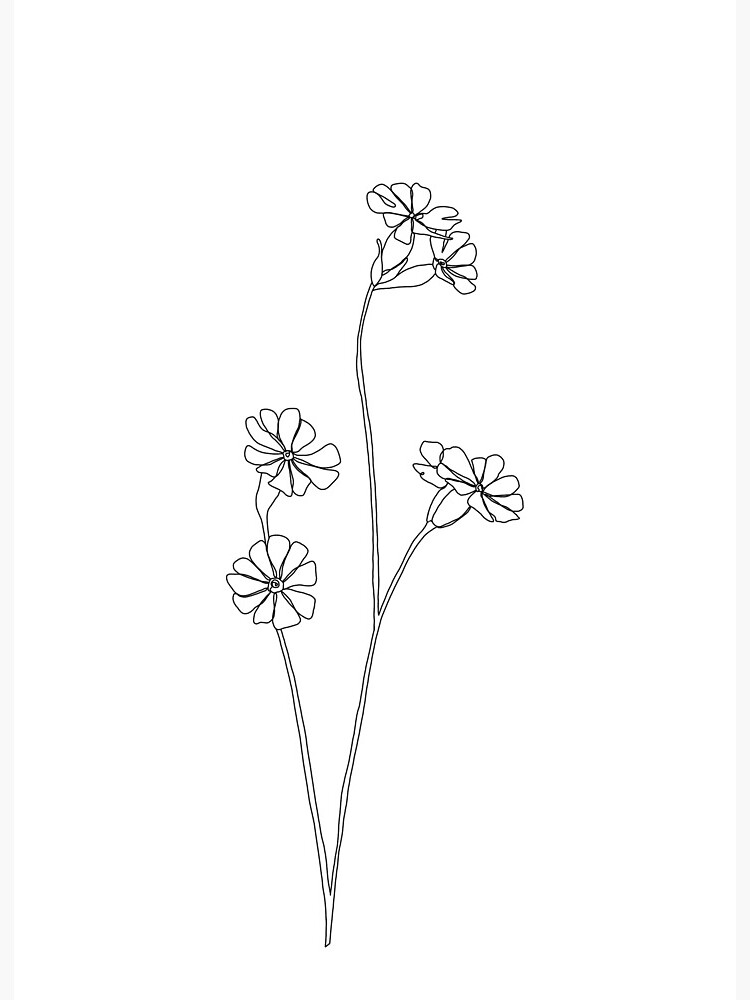 Wildflower Garden - Line Art - Drawing Canvas Print