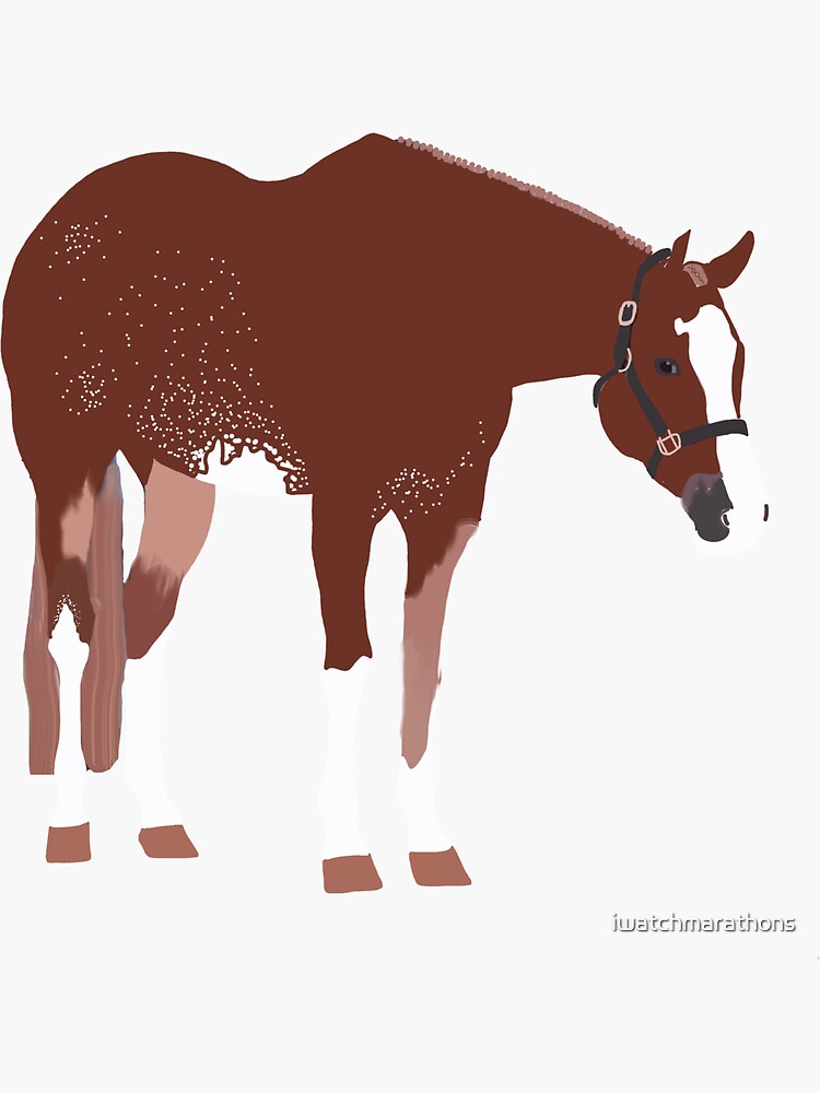 "APHA Roan Overo Paint Horse" Sticker for Sale by iwatchmarathons