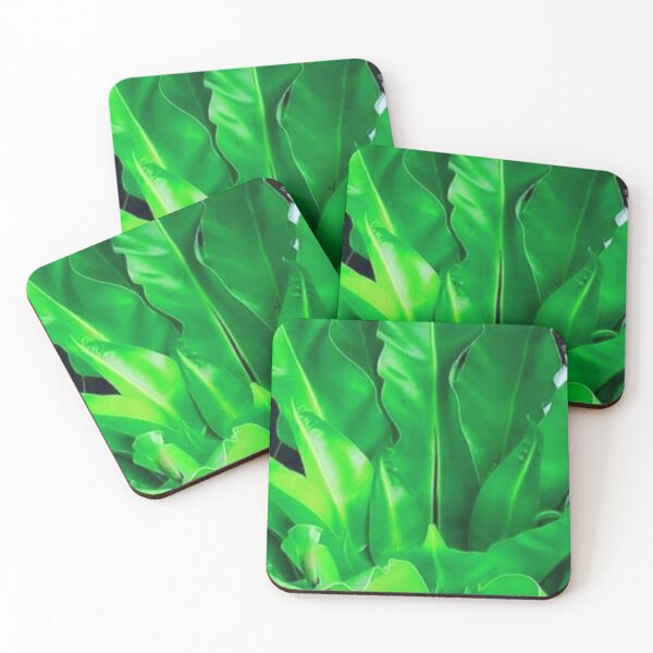Item preview, Bird's Nest Fern designed and sold by doodle3Dandy.