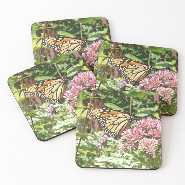 Item preview, Monarch in Indiana designed and sold by TropicVibes260.