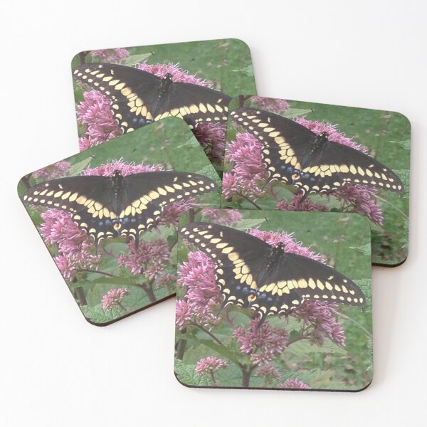 Item preview, Black Swallowtail designed and sold by TropicVibes260.