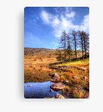 Blea Tarn, Lake District Canvas Print