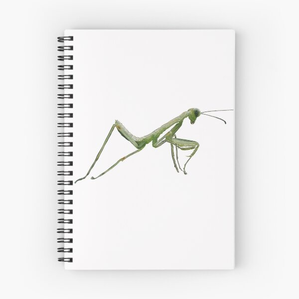Item preview,  Praying Mantis Color Print  designed and sold by designsasstultd.