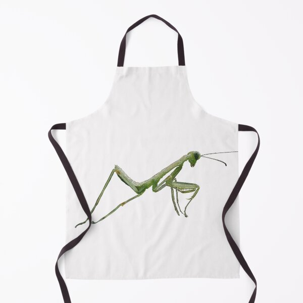 Item preview,  Praying Mantis Color Print  designed and sold by designsasstultd.