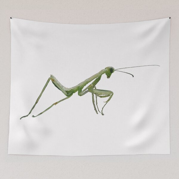 Item preview,  Praying Mantis Color Print  designed and sold by designsasstultd.