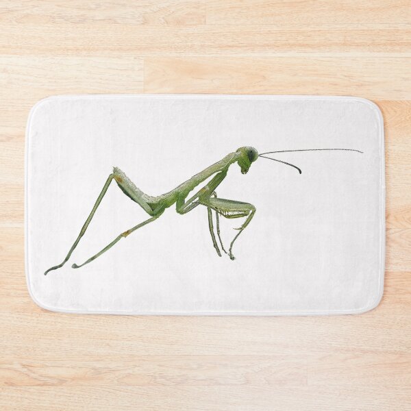 Item preview,  Praying Mantis Color Print  designed and sold by designsasstultd.