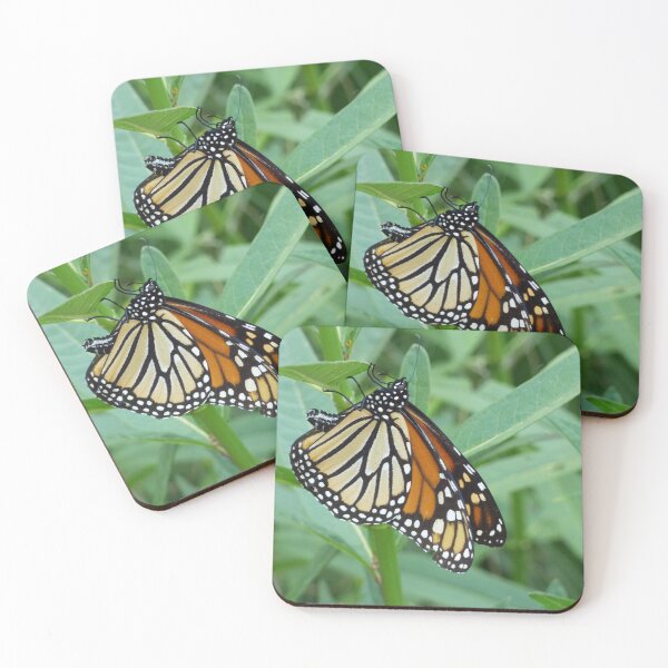 Item preview, Monarch in Wisconsin designed and sold by TropicVibes260.