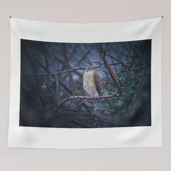 Item preview, Sparrowhawk in the garden designed and sold by Kipcio.