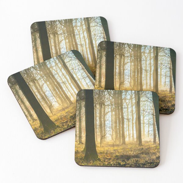 Item preview, Sunlight Through Autumn Woods  designed and sold by James Elkington.