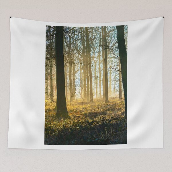 Item preview, Sunlight Through Autumn Woods  designed and sold by James Elkington.