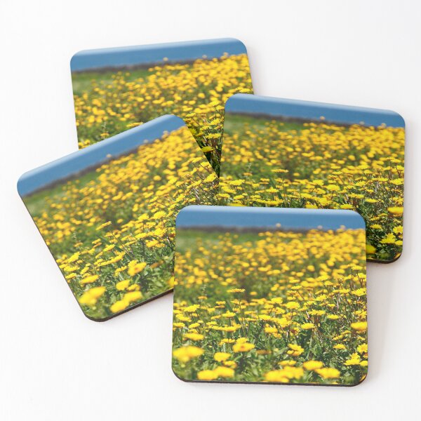 Item preview, Field of yellow daisies designed and sold by Gaspar Avila.