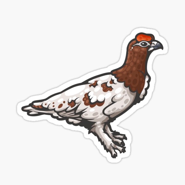 Willow Ptarmigan Sticker