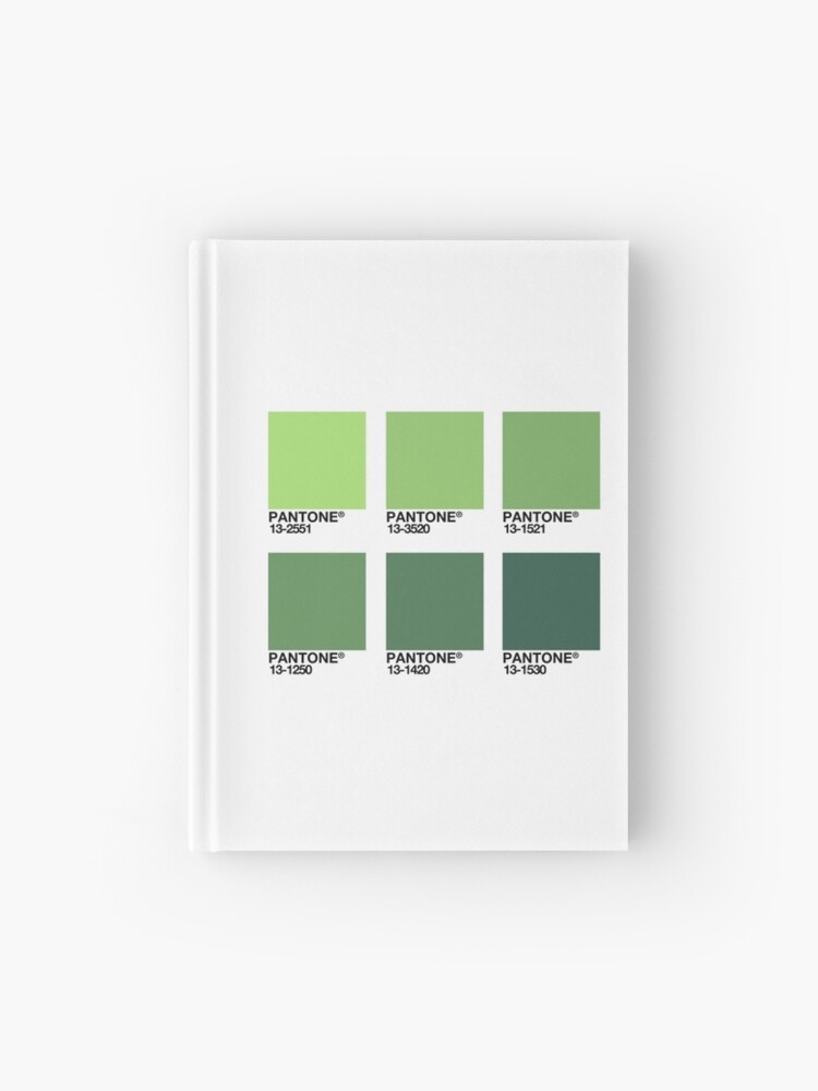 Pantone Chips Journal