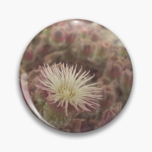 Item preview, Succulent Flower Blooming designed and sold by Nalinne Jones.