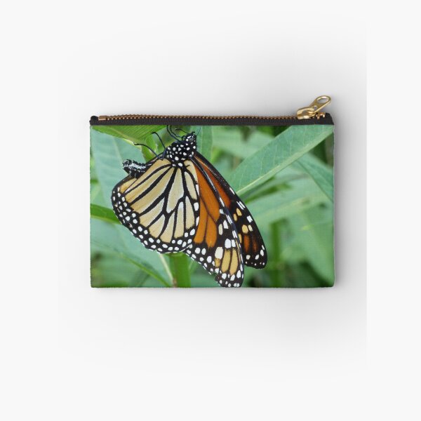 Item preview, Monarch in Wisconsin designed and sold by TropicVibes260.