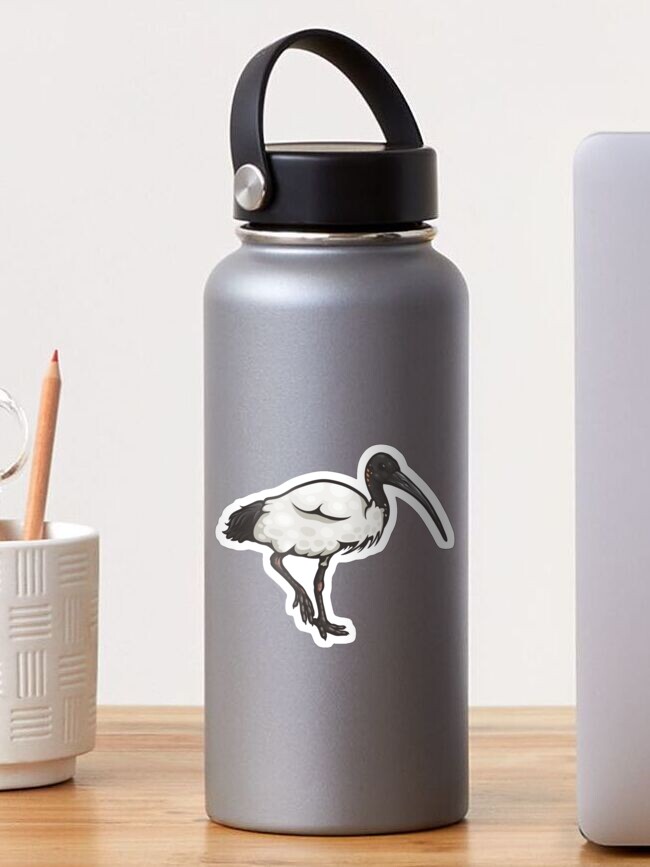 Thumbnail 1 of 3, Sticker, Australian White Ibis designed and sold by Ginboy.