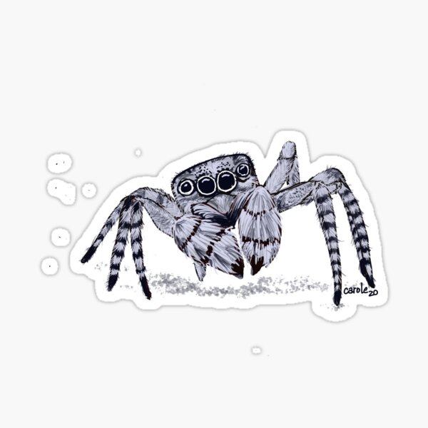 Jumping Spider, Sticker White