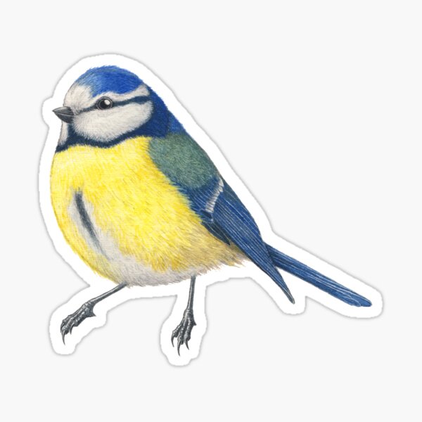 Item preview, BlueTit - Blaumeise - Bird watercolor illustration - Protect Birds and Insects Project designed and sold by Laura Montserrat.