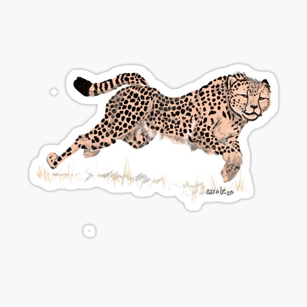 Cheetah Sticker