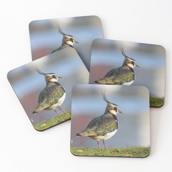 Item preview, Northern Lapwing / Peewit bird designed and sold by sjfreeman88.