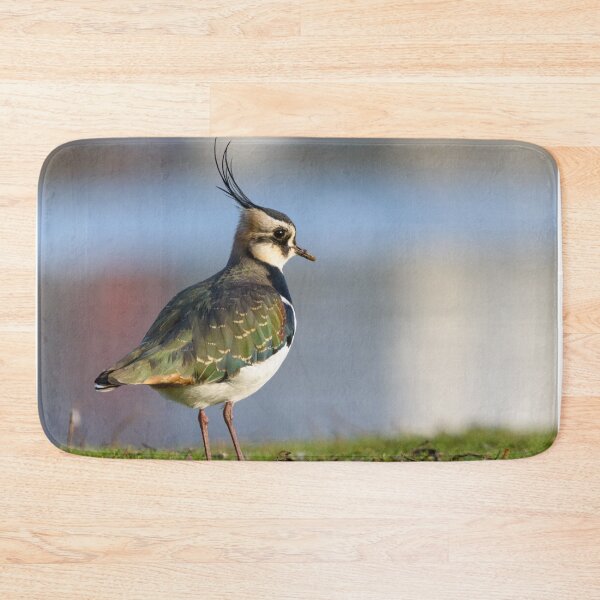 Item preview, Northern Lapwing / Peewit bird designed and sold by sjfreeman88.
